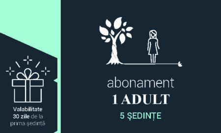 Abonament 1 Adult – Podul Grant
